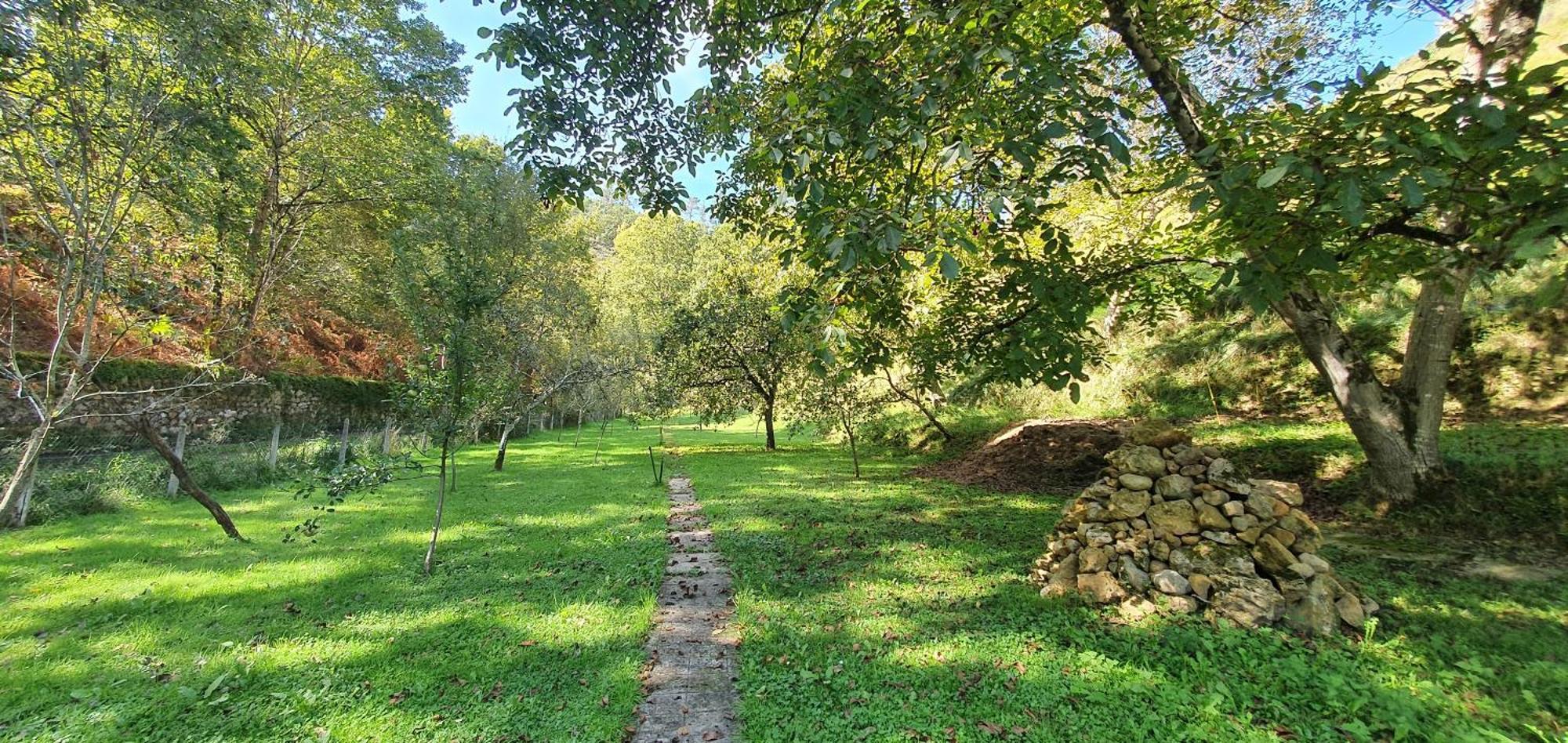 La Casona De La Vega Junto A Onís المظهر الخارجي الصورة